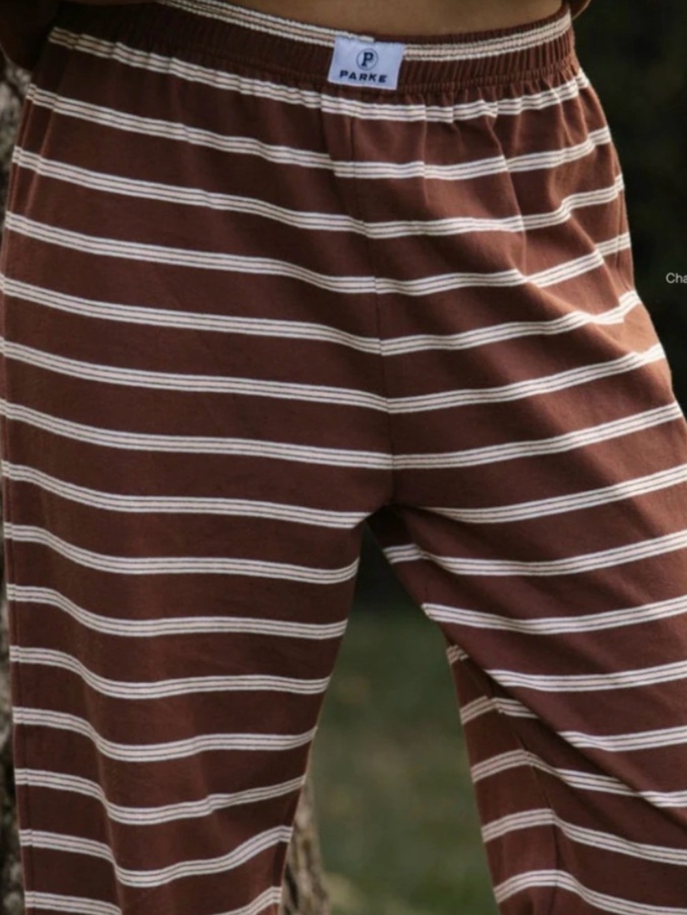 PARKE Mocha Stripe Straight Leg Pant Size XL